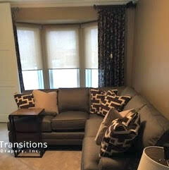 Shades Drapes and Pillows