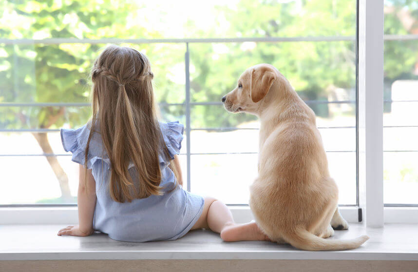 child-and-dog-at-window